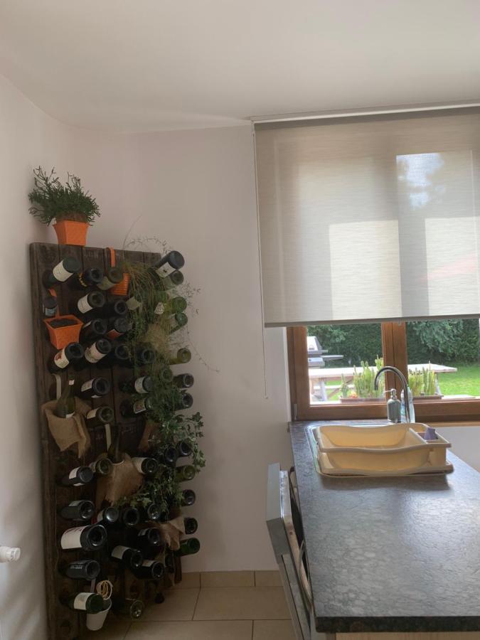 Apartament Les Hirondelles Wintzenheim Zewnętrze zdjęcie