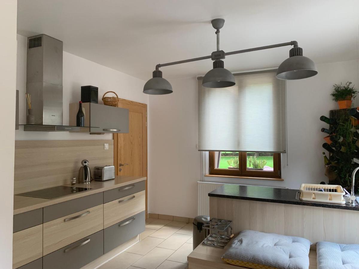 Apartament Les Hirondelles Wintzenheim Zewnętrze zdjęcie