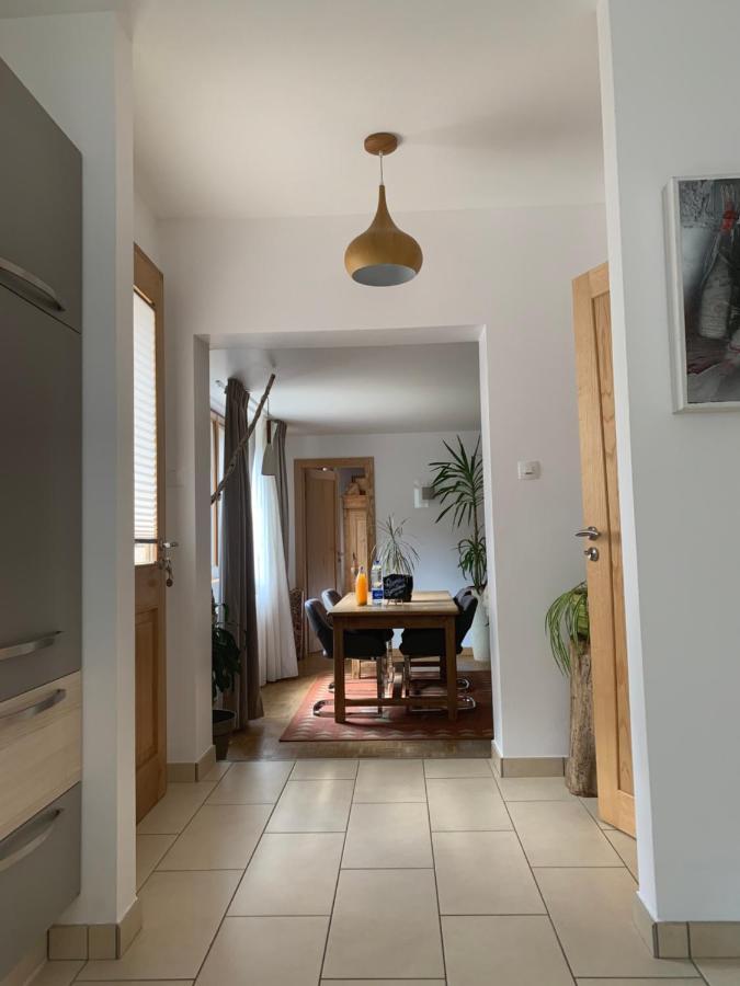 Apartament Les Hirondelles Wintzenheim Zewnętrze zdjęcie