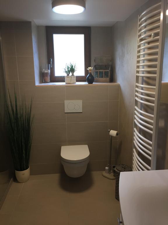 Apartament Les Hirondelles Wintzenheim Zewnętrze zdjęcie