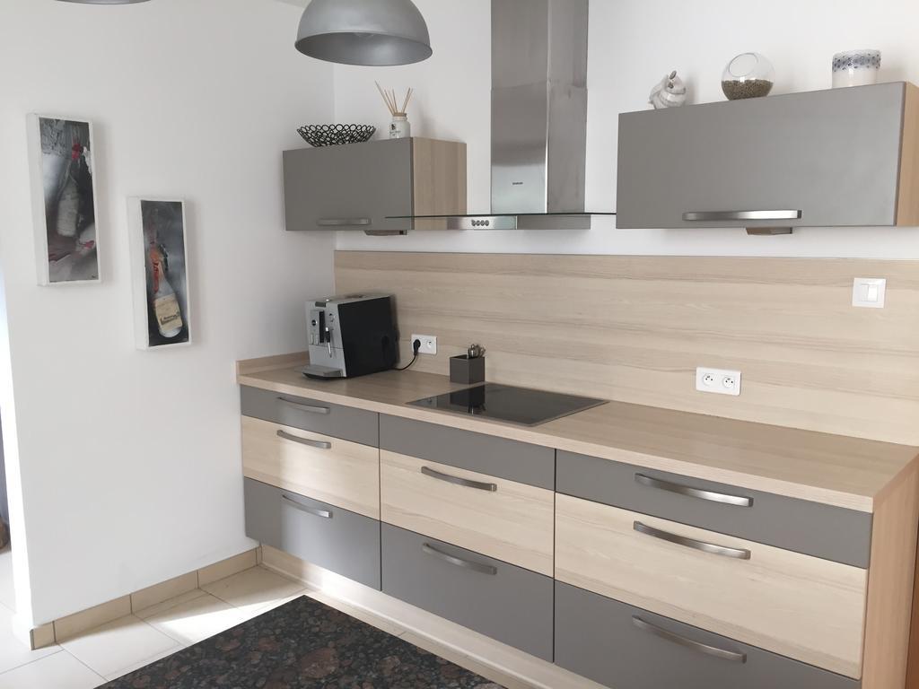 Apartament Les Hirondelles Wintzenheim Zewnętrze zdjęcie